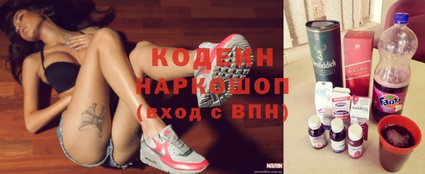 молекула духа Арсеньев