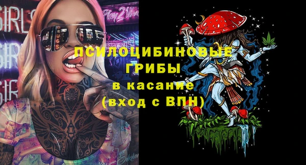 молекула духа Арсеньев