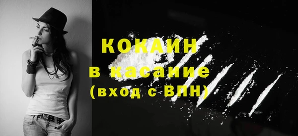 молекула духа Арсеньев