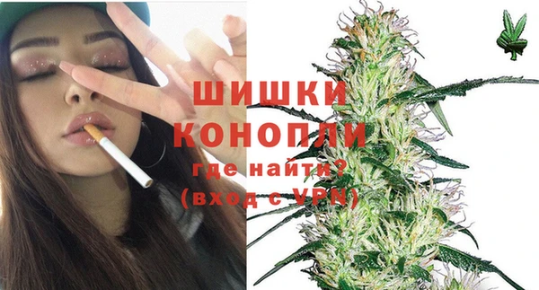 гидра Зеленокумск