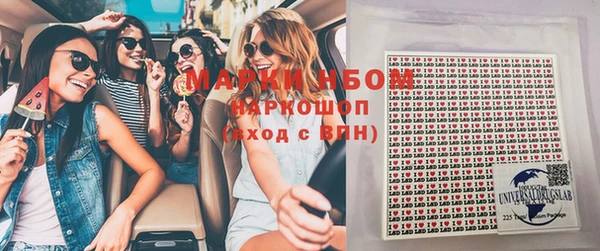 молекула духа Арсеньев
