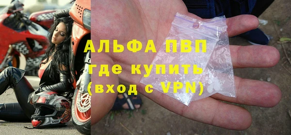молекула духа Арсеньев