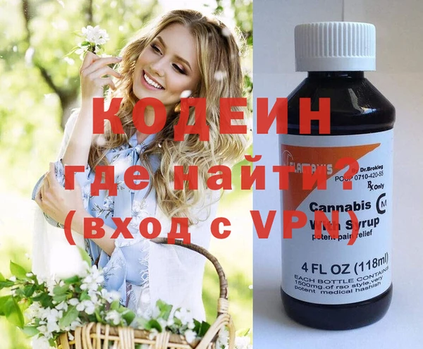 молекула духа Арсеньев